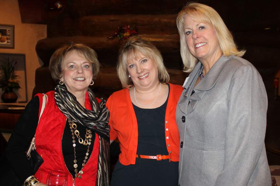 Vote Dian VanderWell Fundraising Reception