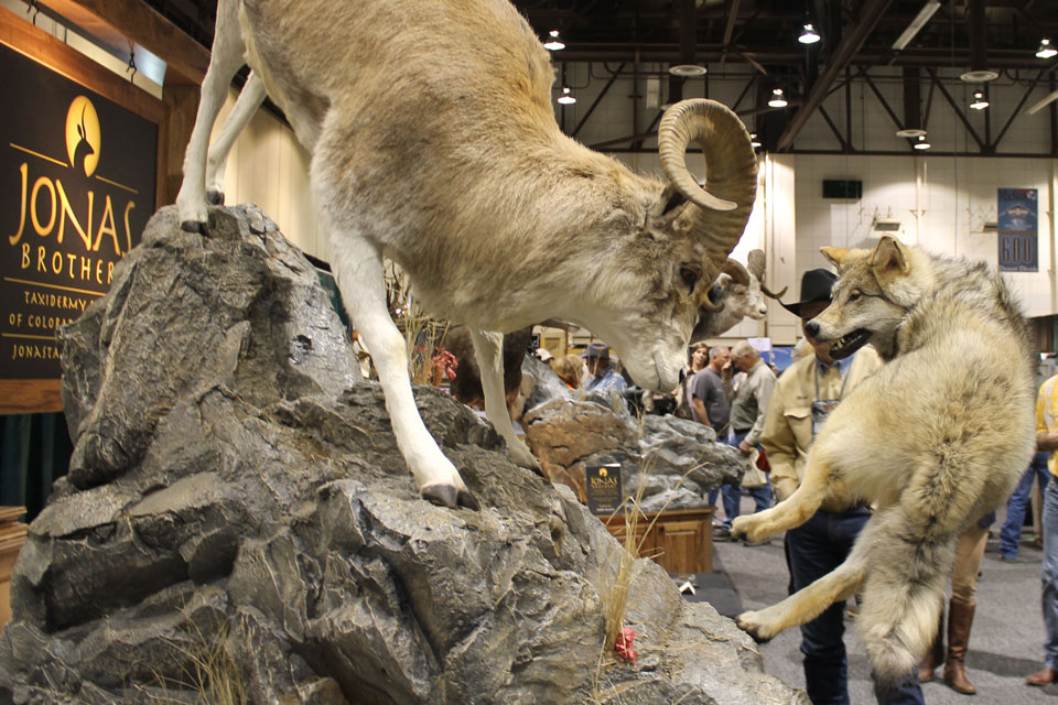 Wild Sheep Foundation