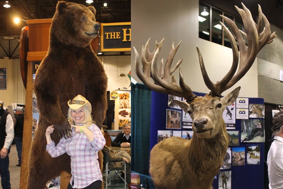 Wild Sheep Foundation